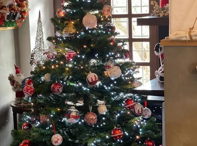 Aires De L'emporda Otel 4*